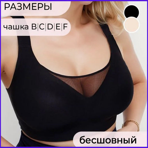 11567279